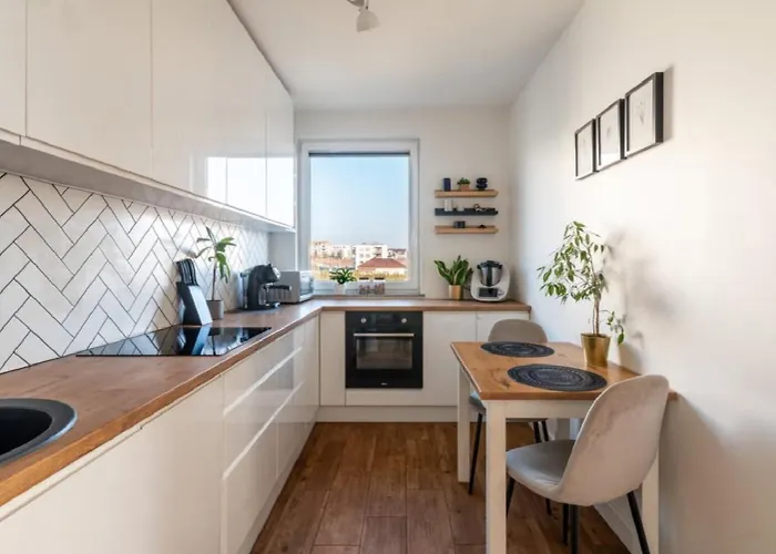 Zoya كراكوفيا